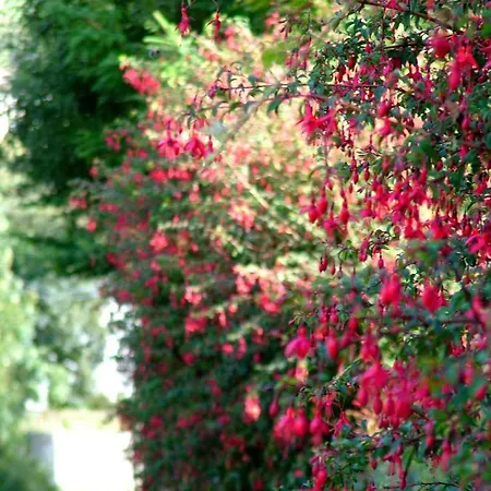Compass Hill House * Kinsale